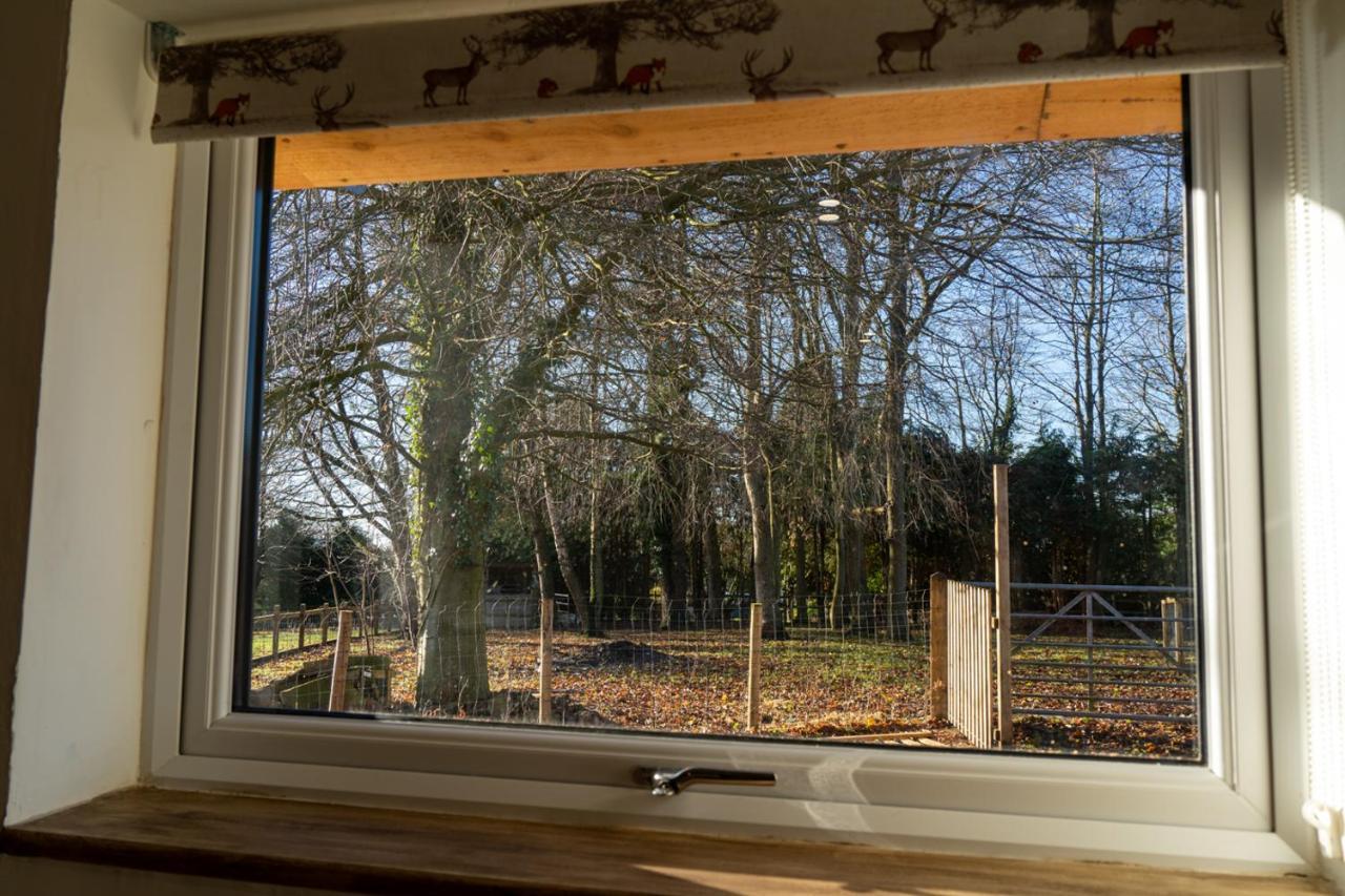 Rose Hideaway - Forest Of Dean Cosy Cabin Retreat Yorkley Exterior photo